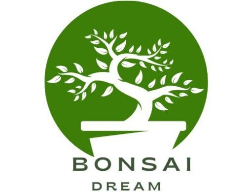 Bonsai Dream
